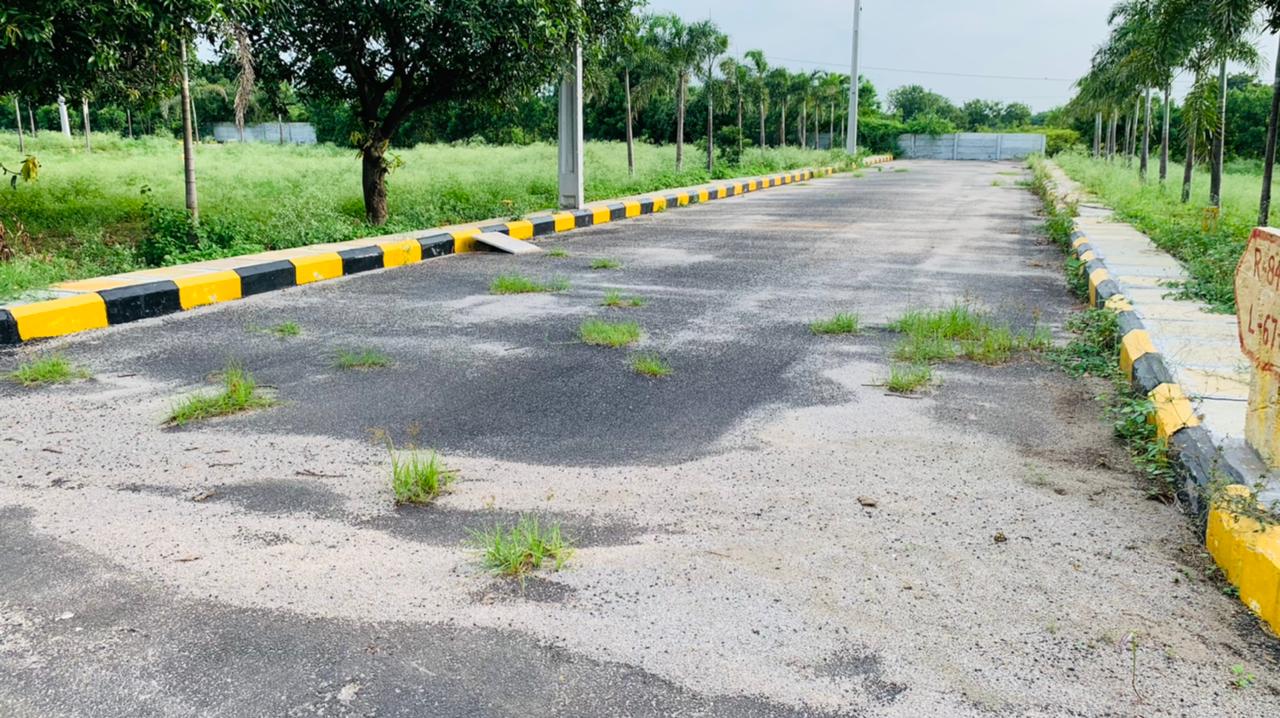 ever mark properties